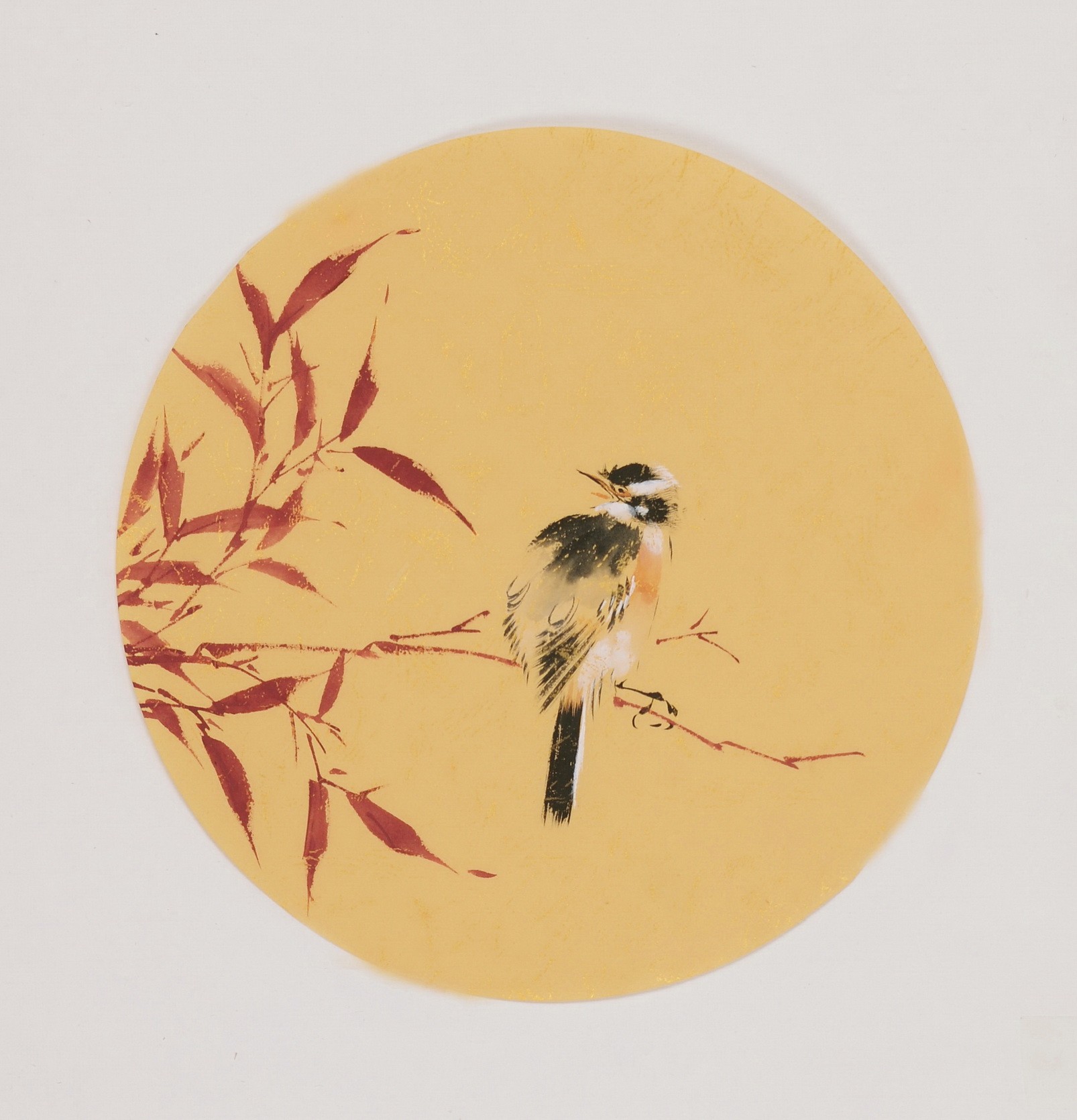 Bamboo - CNAG001736