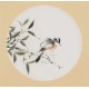 Green Bamboo - CNAG001741