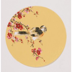Plum - CNAG001767
