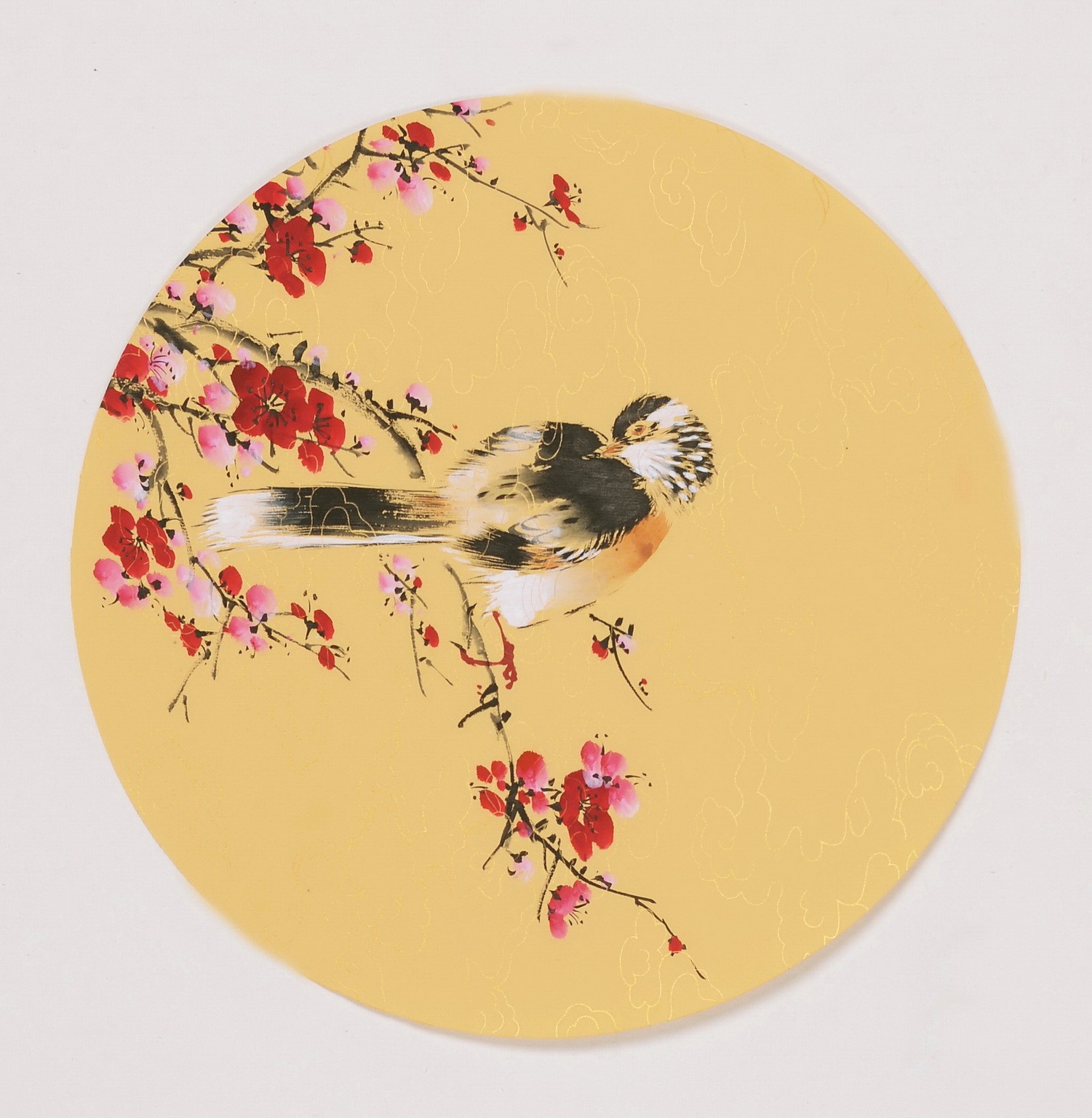 Plum - CNAG001767