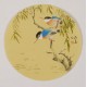 Willow - CNAG001788