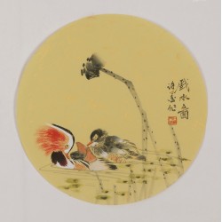 Mandarin Duck - CNAG001794