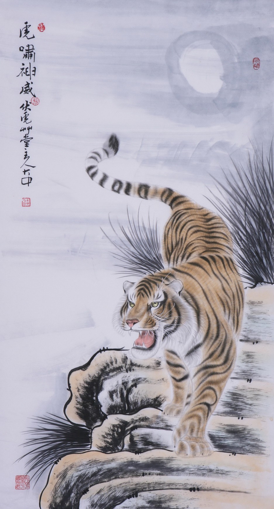 Tiger - CNAG000018