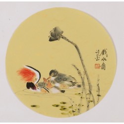 Mandarin Duck - CNAG001801