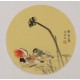 Mandarin Duck - CNAG001802