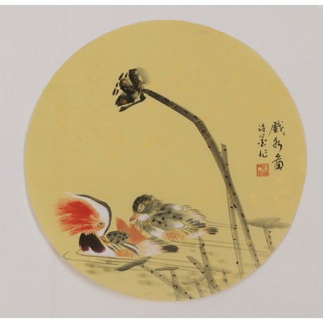 Mandarin Duck - CNAG001802