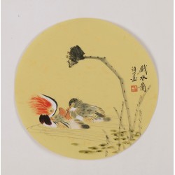 Mandarin Duck - CNAG001805