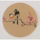Plum - CNAG001808