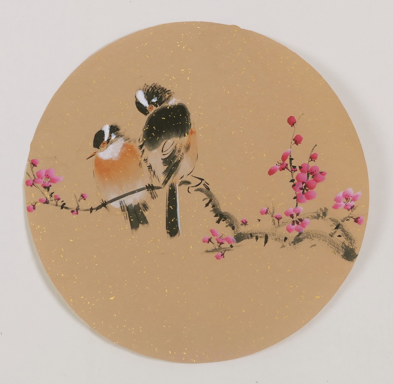 Plum - CNAG001808