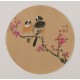 Plum - CNAG001809