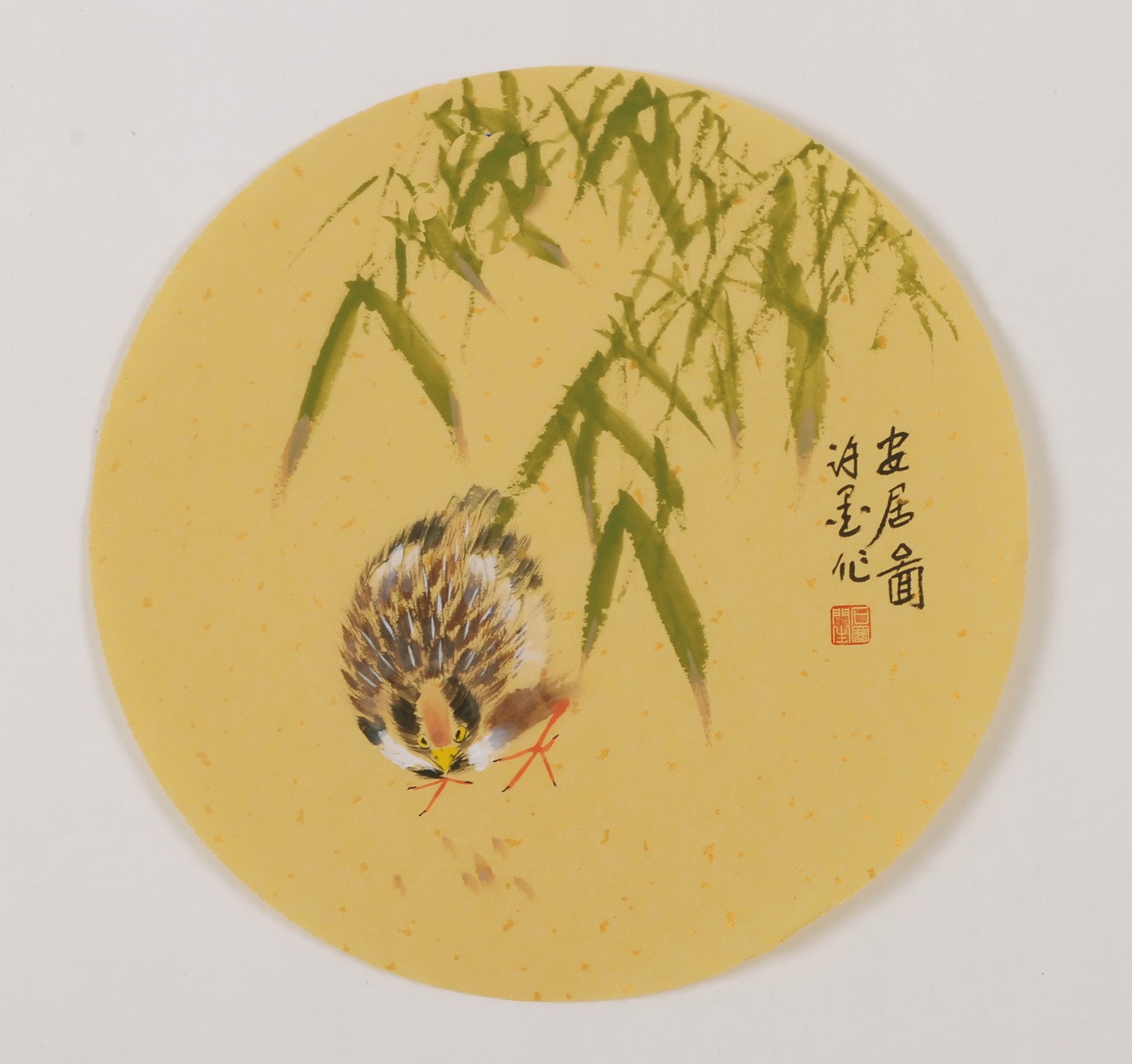 Chicken - CNAG001810