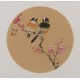Plum - CNAG001814