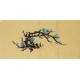 Plum - CNAG001821