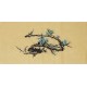 Plum - CNAG001822