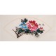 Peony - CNAG001850