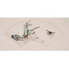 Narcissus - CNAG001863
