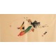 Other Birds - CNAG001874