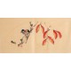 Other Birds - CNAG001877