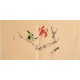 Other Birds - CNAG001883