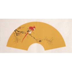 Paradise Flycatcher - CNAG001886