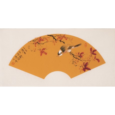 Other Birds - CNAG001891