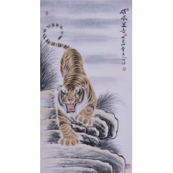 Tiger - CNAG000019