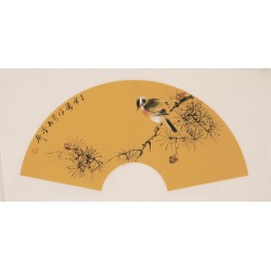 Other Birds - CNAG001901
