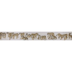 Tiger - CNAG001945