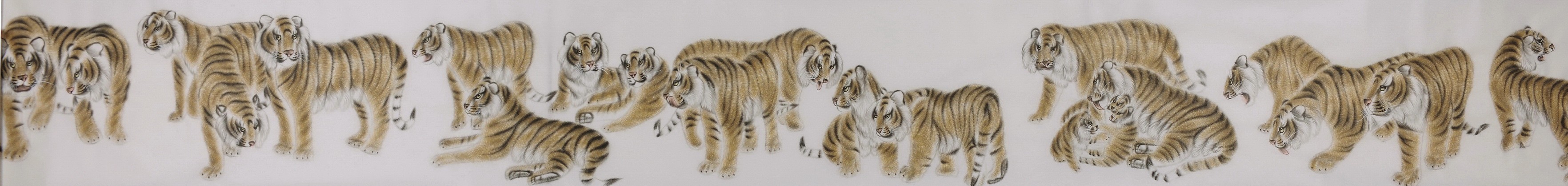Tiger - CNAG001945