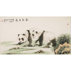 Panda - CNAG001950
