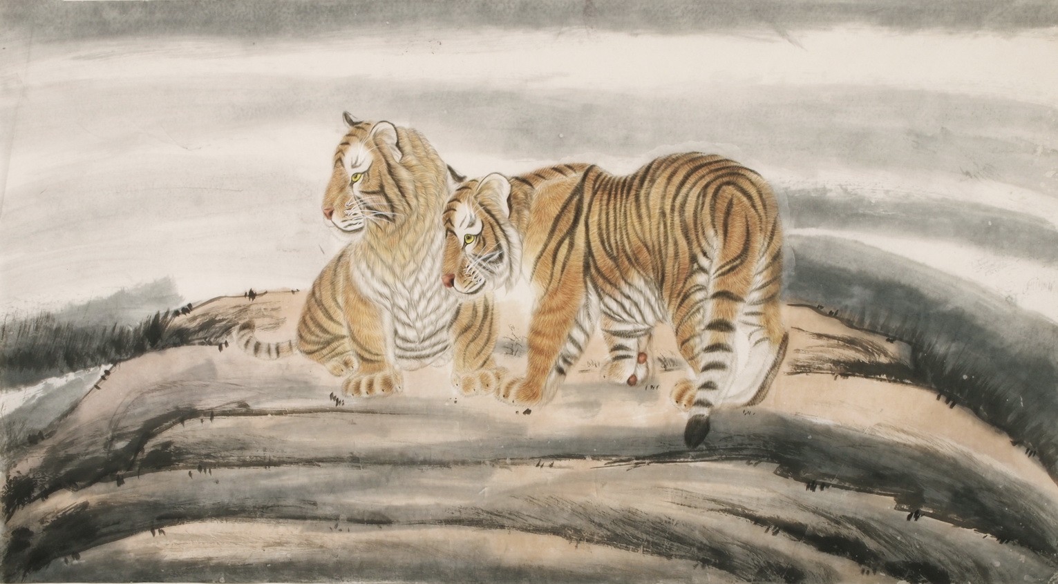 Tiger - CNAG001952