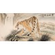 Tiger - CNAG001956