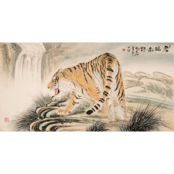 Tiger - CNAG001956
