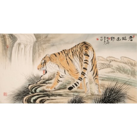 Tiger - CNAG001956