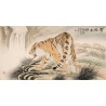 Tiger - CNAG001956