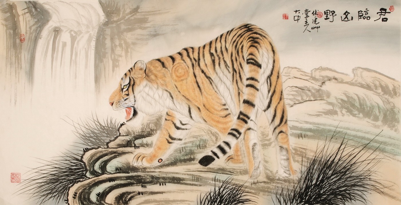 Tiger - CNAG001956
