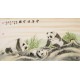 Panda - CNAG001959