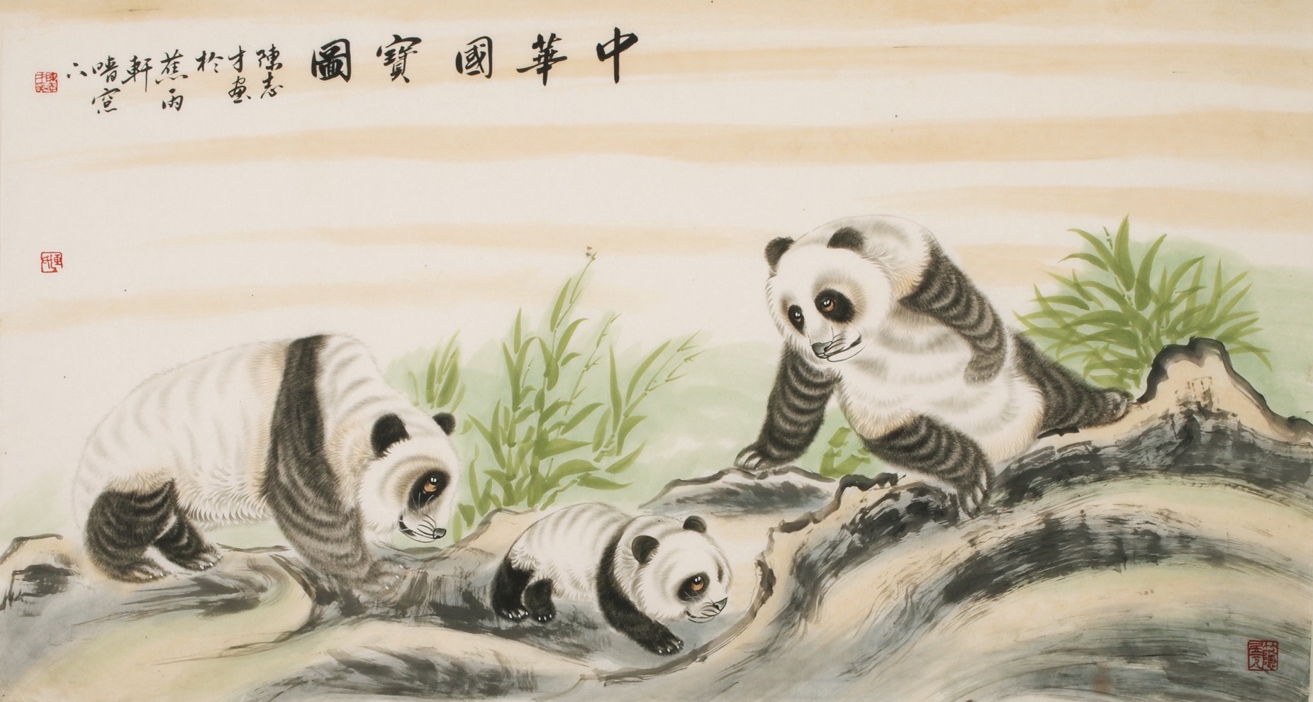 Panda - CNAG001959