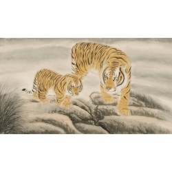 Tiger - CNAG001960