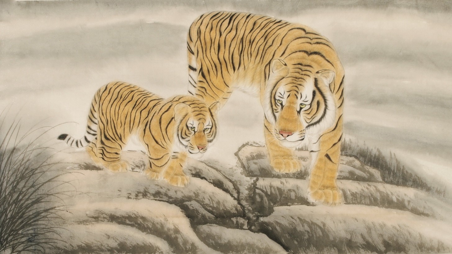 Tiger - CNAG001960