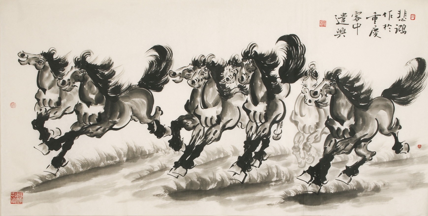 Horse - CNAG001963