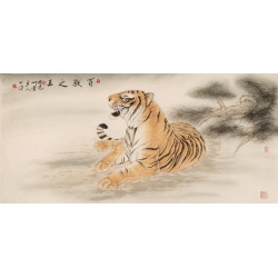 Tiger - CNAG001968