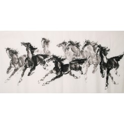 Horse - CNAG001975
