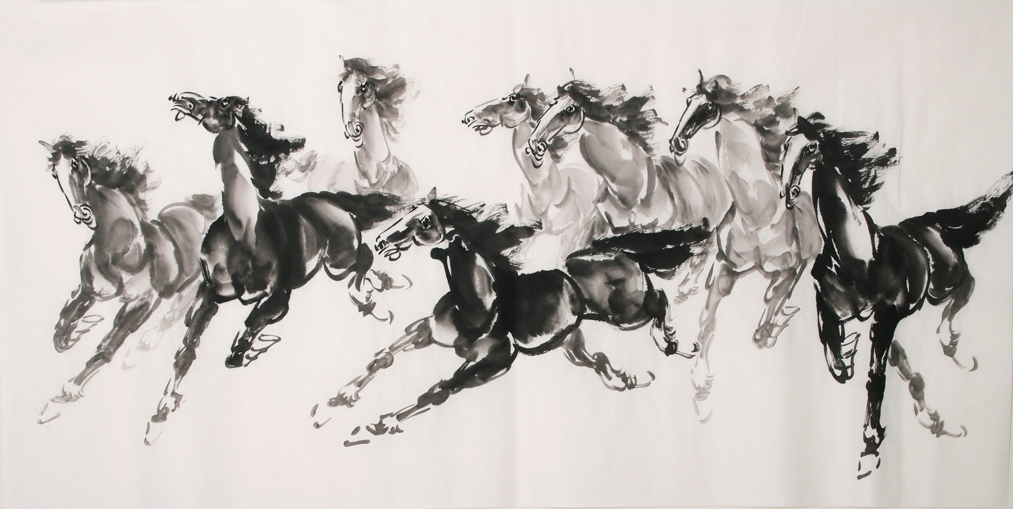 Horse - CNAG001975
