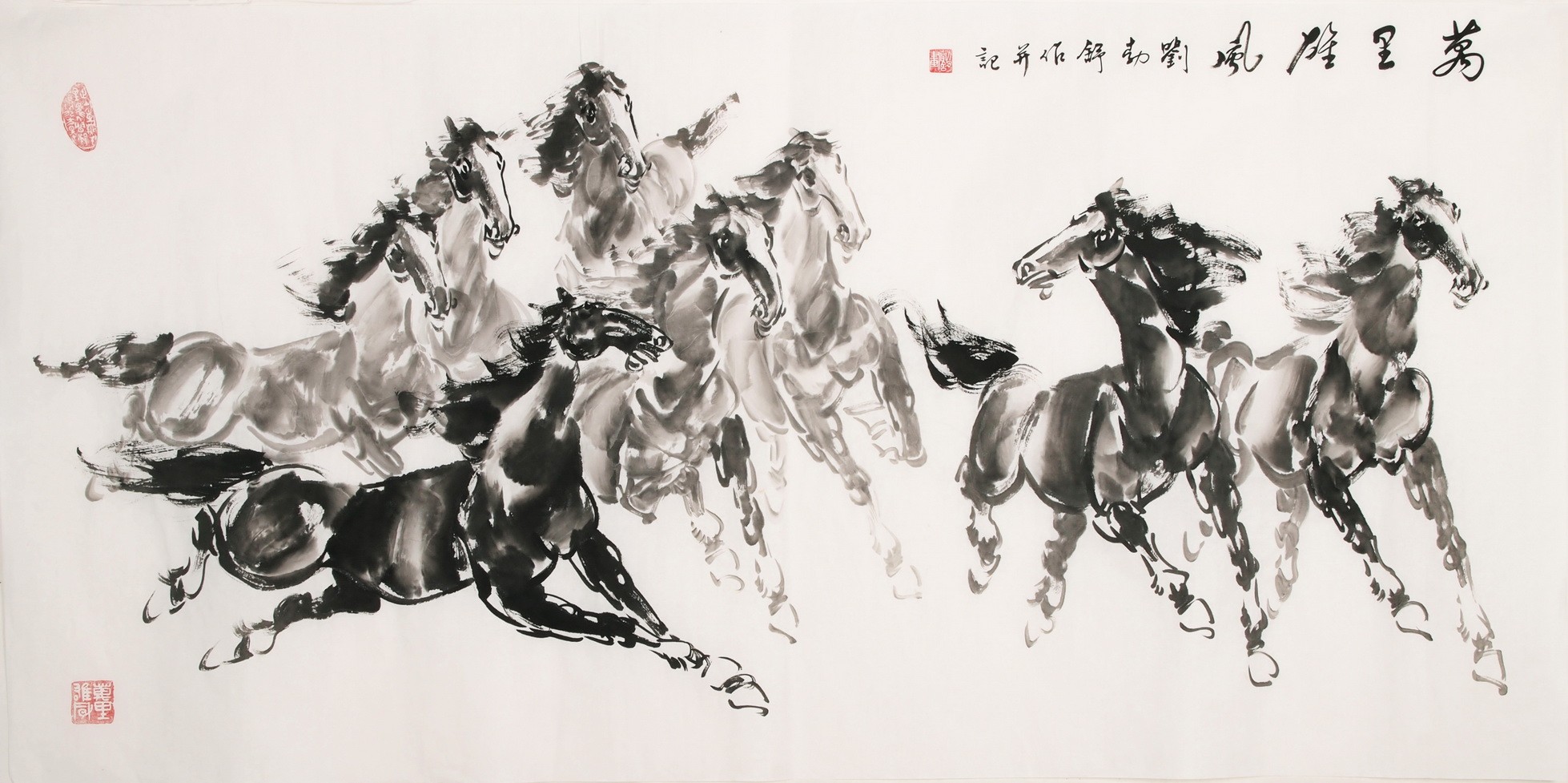 Horse - CNAG001979