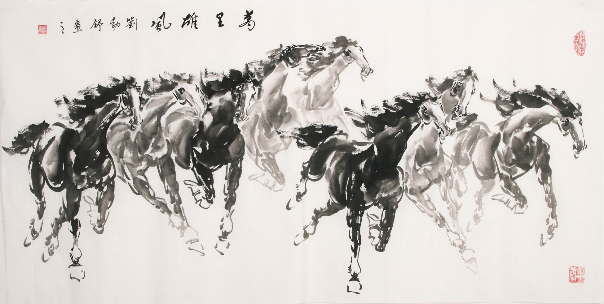Horse - CNAG001985