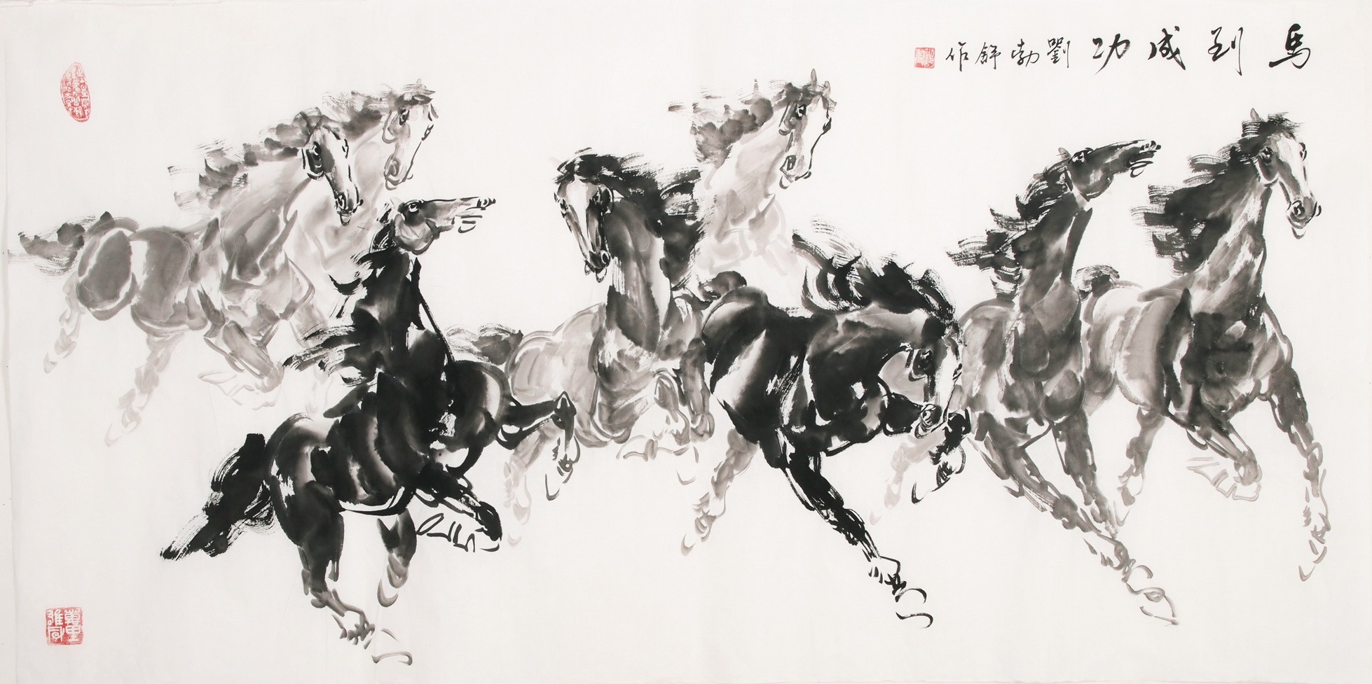 Horse - CNAG001986