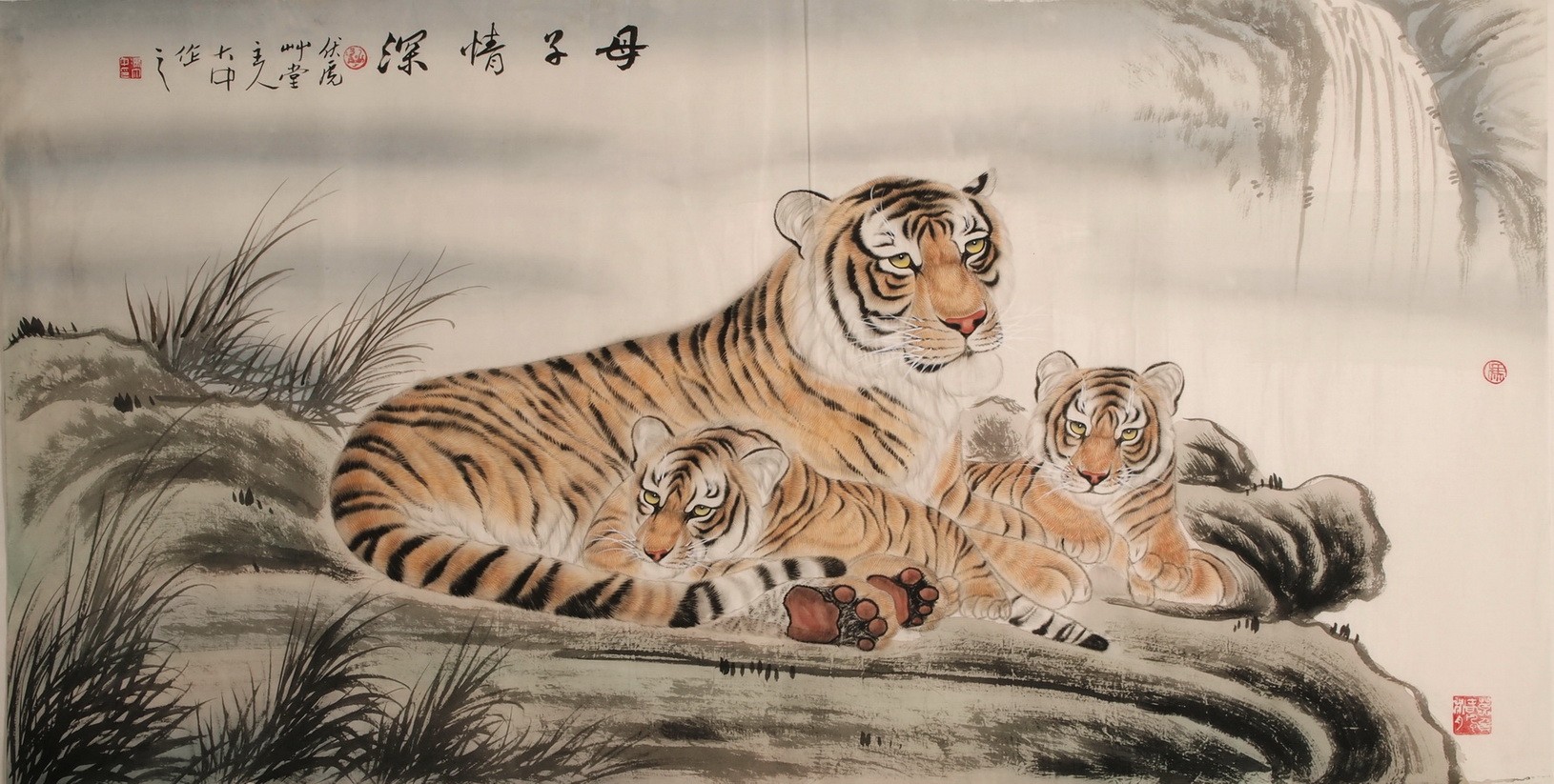 Tiger - CNAG001990