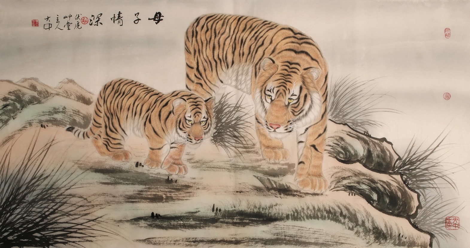 Tiger - CNAG001991