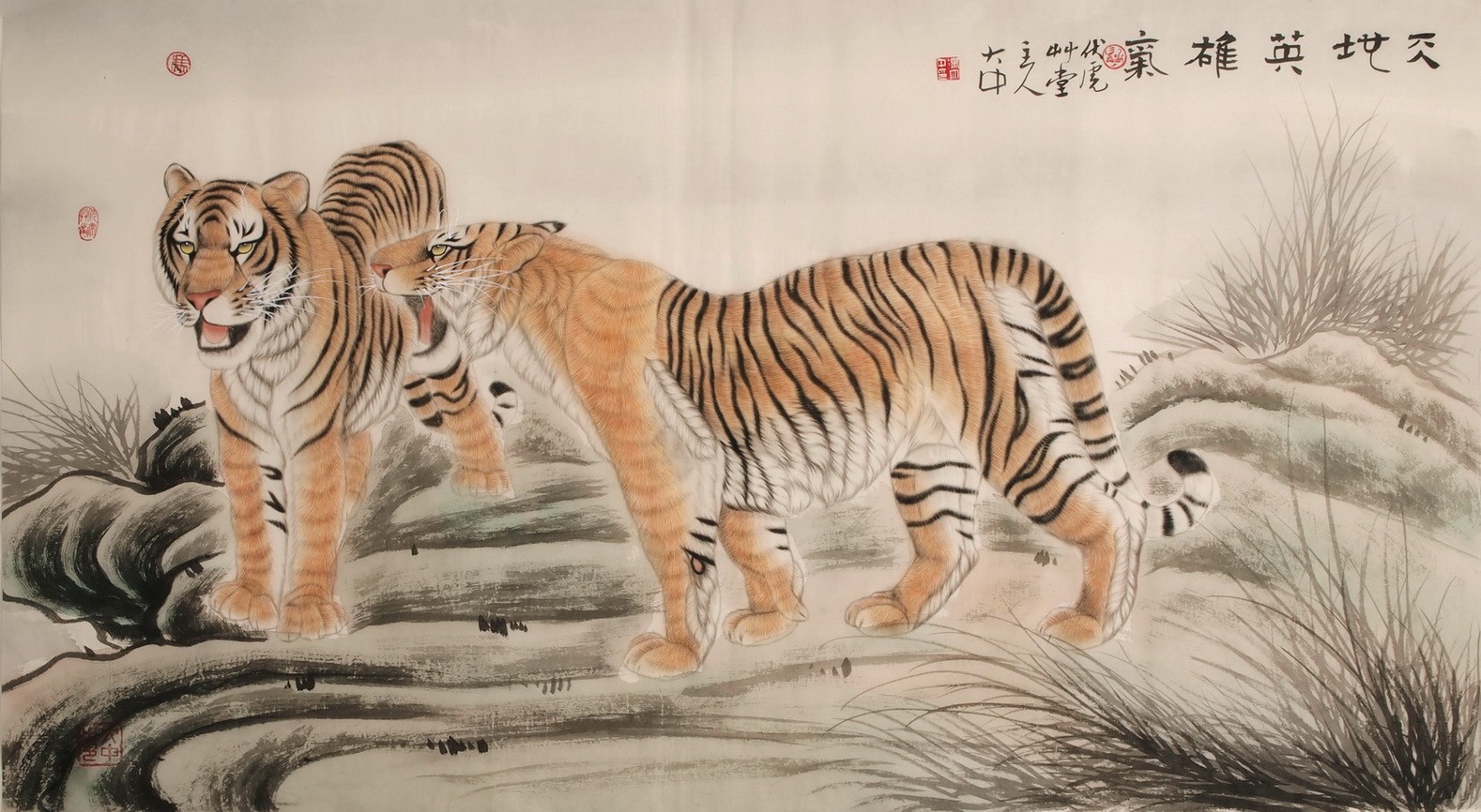 Tiger - CNAG001992